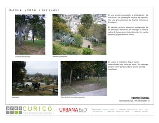 PLAN DE RECONSTRUCCIÓN SUSTENTABL E
Óp re s DETALLE CONTENIDO LINEA 1
DETALLE CONTENIDO LINEA 1
DETALLE CONTENIDO LINEA 1
CONSULTOR ESPECÍFICO
AUTOR DEL PLANO
URBANA E&D
TITULO CONTENIDO
PANORAMA CONSULTORES / URBANO PROYECTOS SA / GSI
INGENIERÍA / DOMEYKO ARQUITECTURA / MANUEL TIRONI
PLAN DE RECONSTRUCCIÓN SUSTENTABLE
Ó     p r e s
CERRO CONDELL
IBA ARQUITECTOS / FICHA NÚMERO 10
Arborización (Acacias)
Mobiliario Zona de picnic con estacionamiento
Arbustos y Herbáceas
En una primera impresión, la arborización ha
sido básica sin contemplar riqueza de especies.
Hay una gran presencia de Acacios (Aromos) y
Eucaliptus.
En algunos sectores aparecen plantaciones de
de arbustos o herbáceas, sin embargo el cerro se
cubre de lo que crece naturalmente, sin mucha
variedad, especialmente pastos.
En cuanto al mobiliario, hay un sector
determinado para zonas de picnic, sin embargo
el cerro como parque urbano que no plantea
mobiliario.
MATERIAL VEGETAL Y MOBILIARIO
 