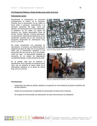 Informe nº 1 / Etapa Diagnóstico Curicó / Octubre 2010 36 
 
PANORAMA CONSULTORES / URBANO PROYECTOS SA / GSI
INGENIERÍA / DOMEYKO ARQUITECTURA / MANUEL TIRONI
2.6.2 Espacios Públicos y Áreas Verdes zona centro de Curicó
Arborización centro
Actualmente la arborización se concentra
principalmente al interior de la manzana,
mientras que la arborización de las calles no
tiene orden ni jerarquía, respondiendo a la
situación específica del lugar, como por
ejemplo: los retranqueos de la línea edificatoria,
la postación de las calles, los aleros del
comercio, etc. (Anexo arborización Plaza de
Armas, Carmen, Merced y Camilo Henríquez).
La arborización responde principalmente al uso
residencial, mientras que el uso comercial se
encuentra desprovisto de arborización (Fig.
2.6.2.3 y 2.6.2.4).
No existe actualmente una propuesta de
arborización, ni tampoco una diferenciación de
especies por tipos de calle, por lo que podemos
inferir que la arborización responde a una
proyección del uso que se le da a los predios.
Junto con esto, la arborización existente se
encuentra en un estado de degradación
considerable debido a malas prácticas de poda.
En el posible caso que se potencie la
densificación de la manzana es necesario tener
claro que se perdería la mayor parte de la
arborización existente en el centro de Curicó
(Fig. 2.6.2.5 y 2.6.2.6).
Conclusiones:
‐ Arborización de calles es aislada, aleatoria y en general con mal manejo de la poda en beneficio del
tendido eléctrico.
‐ Existe una concentración considerable de arborización al interior de la manzana.
‐ En la plaza de Armas existe una arborización de valor reconocida por la ciudadanía.
 
 
Fig.2.6.2.1 Arborización interior manzanas. Fuente: Google Earth. 
Fig.2.6.2.2 Arborización veredas. Fuente: Panorama Consultores.
 