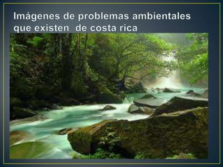 Primer investigacion