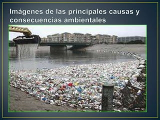 Primer investigacion