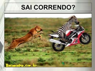 SAI CORRENDO?

19/1/2014

 