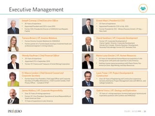 TSX P | NYSE PPP | 38
Tamara Brown | VP, Investor Relations
• Former Director Investor Relations for IAMGOLD
• Former partner of a Toronto based, boutique investment bank and
professional engineer in mining industry
H. Maura Lendon | Chief General Counsel and
Corporate Secretary
• Former Senior Vice President, Chief Legal Officer and Corporate
Secretary of HudBay Minerals Inc.; Chief Counsel Canada, Chief
Privacy Officer - Canada of AT&T
David Sandison | VP, Corporate Development
• Former VP, Corporate Development of
Clarity Capital ; Director, Corporate Development
Xstrata Zinc Canada ; Director Business Development,
Noranda/Falconbridge; Former EVP, Noranda Chile
Louis Toner | VP, Project Development &
Construction
• Over 30 Years of Engineering and Construction experience,
formerly held Senior Project Management roles with BBA Inc. and
Lafarge Canada Inc.
Gabriel Voicu | VP, Geology and Exploration
• 25 Years of mining experience, formerly held senior technical and
exploration positions with Cambior and IAMGOLD
James Mallory | VP, Corporate Responsibility
• Over 35 Years of mining experience
• Former VP, Vice-President, Operations & Social Responsibility at
South American Silver
• 13 Years of experience in Latin America
Joseph Conway | Chief Executive Officer
• 30 Years of experience
• Appointed President and CEO in June 2010
• Former CEO, President & Director of IAMGOLD and Repadre
Capital
Wendy Kaufman | Chief Financial Officer
• 20 Years of experience
• Appointed CFO in September 2014
• Former VP, Finance and Treasurer of Inmet Mining Corporation
Executive Management
Ernest Mast | President & COO
• 25 Years of experience
• Appointed President & COO in Feb. 2015
• Former President & CEO – Minera Panama (Inmet), VP Ops. –
New Gold.
Maria-Luisa Sinclair | VP, Human Resources
• 25 Years of international Human Resources experience in the
mining sector with particular expertise in Latin America.
• Held key human resources positions with Placer Dome, Pan
American Silver, Baja Mining, and Skye Resources.
 