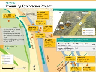 TSX P I NYSE PPP I
Grey Fox
o 50,000 metres of drilling
planned in 2015.
o Increased Measured and
Indicated Resources by 20% in
2014.
o Internal scoping study planned
for H2 2015.
Location
Ownership
4 km from Black Fox, Ontario
100% (no stream)
Measured & Indicated Gold Resources (koz)
(4.7M tonnes at 4.4 g/t)
668
Inferred Gold Resources (koz)
(1.3M tonnes at 4.2 g/t)
174
Promising Exploration Project
GREY FOX
 