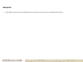 Bibliografía
• SEP, 2018, Conocimiento del Medio Primer Grado Educación Primaria. CONALITEG: México.
 