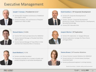 Executive Management
    Joseph F. Conway | President & C.E.O. 1                David Sandison | VP Corporate Development

       Former CEO, President and Director of IAMGOLD         Former VP, Corporate Development of
        from 2003 to 2010                                      Clarity Capital
       Former President, CEO and Director of Repadre         Former Director, Corporate Development
        Capital from 1995 to 2003                              Xstrata Zinc Canada , Director Business Development,
                                                               Noranda/Falconbridge
                                                              Former EVP, Noranda Chile



    Renaud Adams | C.O.O.                                  Joaquin Merino | VP Exploration

       Former SVP, American Operations for IAMGOLD           Former VP, Exploration of Apogee Minerals
       Former General Manager of Rosebel Gold Mine           Former exploration manager for Placer Dome
        2007 to 2010                                           at Porgera Mine
       Former General Manager El Toqui Mine in Chile
        and then the El Mochito Mine in Honduras




    David Blaiklock | C.F.O.                               Tamara Brown | VP Investor Relations

       Former controller IntraWest                           Former Director Investor Relations for IAMGOLD
       Previously controller for a number of public and      Former partner of a Toronto based, boutique
        private companies in real estate development           investment bank
                                                              Former professional engineer in mining industry

                                                                    Board Committees: 1.Health, Safety and Environment


                                                                                   TSX:P | NYSE:PPP                 24
 