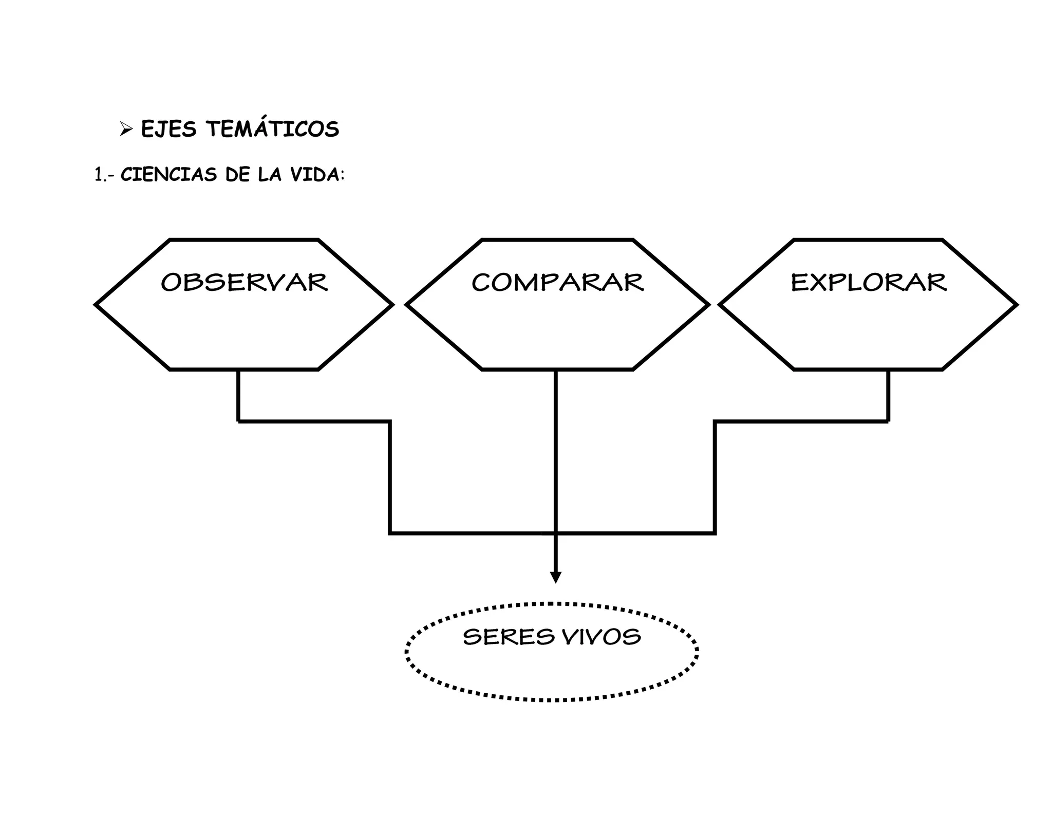Bases Curriculares. Primero Básico. PPT