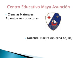  Ciencias Naturales
Aparatos reproductores
 Docente: Nacira Azucena Xoj Baj
 