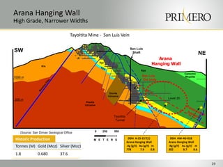 Tayoltita Mine - San Luis Vein
29
SW NE
500 m
1000 m
San Luis
Shaft
San Luis
Ore body
Tayoltita
Tunnel
0 250 500
M E T E R S
Kpa
Kpr
Piaxtla
Intrusive
Diorite
Intrusive
Level 25
Krs
Camichin
Rhyolite
(Source: San Dimas Geological Office
Arana
Hanging Wall
Arana Hanging Wall
High Grade, Narrower Widths
DDH A-25-217(1)
Arana Hanging Wall
Ag (g/t) Au (g/t) m
778 7.9 0.8
DDH HW-4G-01B
Arana Hanging Wall
Ag (g/t) Au (g/t) m
302 8.7 0.6
Historic Production
Tonnes (M) Gold (Moz) Silver (Moz)
1.8 0.680 37.6
 