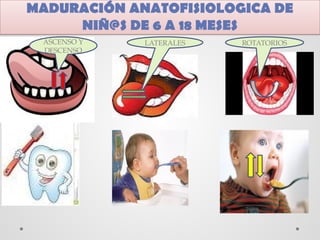 MADURACIÓN ANATOFISIOLOGICA DE
NIÑ@S DE 6 A 18 MESES
ASCENSO Y
DESCENSO
LATERALES ROTATORIOS
 