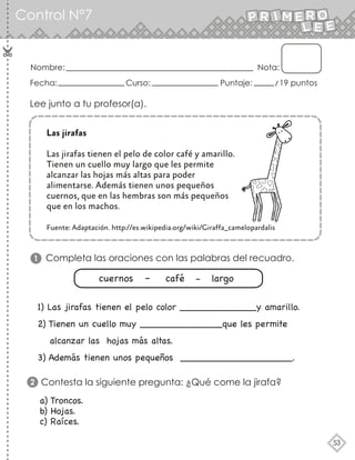 53
Nombre: Nota:
Fecha: Curso: Puntaje: 19 puntos
1
2
Lee junto a tu profesor(a).
Las jirafas
Las jirafas tienen el pelo de color café y amarillo.
Tienen un cuello muy largo que les permite
alcanzar las hojas más altas para poder
alimentarse. Además tienen unos pequeños
cuernos, que en las hembras son más pequeños
que en los machos.
Fuente: Adaptación. http://es.wikipedia.org/wiki/Giraffa_camelopardalis
Completa las oraciones con las palabras del recuadro.
cuernos – café - largo
1) Las jirafas tienen el pelo color _____________y amarillo.
2) Tienen un cuello muy ______________que les permite
alcanzar las hojas más altas.
3) Además tienen unos pequeños ___________________.
Contesta la siguiente pregunta: ¿Qué come la jirafa?
a) Troncos.
b) Hojas.
c) Raíces.
Control N°7
 