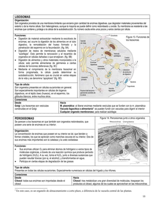 Primero medio biología
