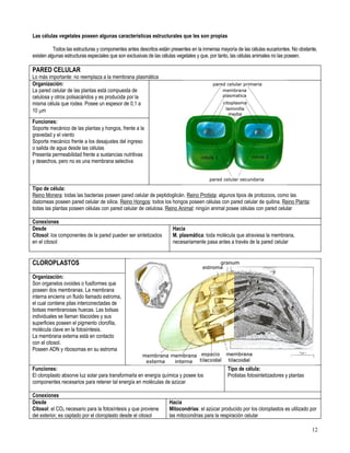 Primero medio biología