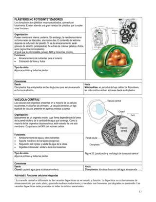 Primero medio biología