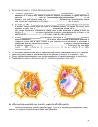 Primero medio biología