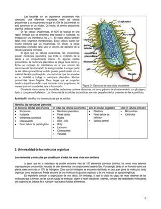 Primero medio biología