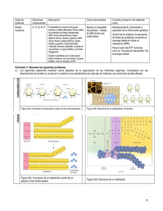 Primero medio biología