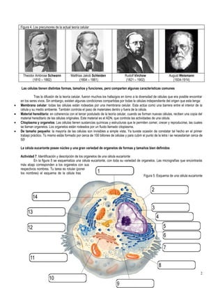 Primero medio biología