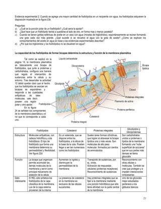Primero medio biología