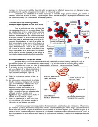 Primero medio biología