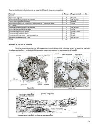 Primero medio biología