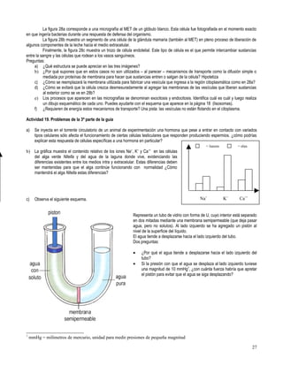 Primero medio biología
