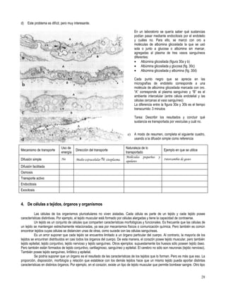 Primero medio biología