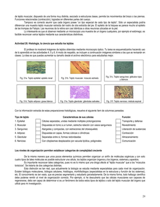 Primero medio biología