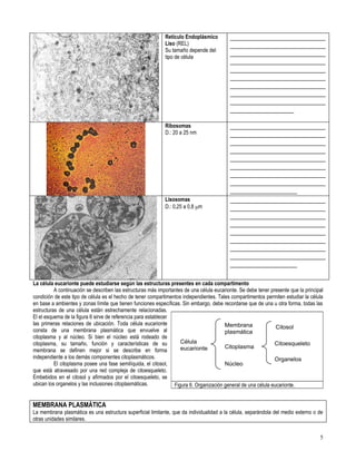 Primero medio biología