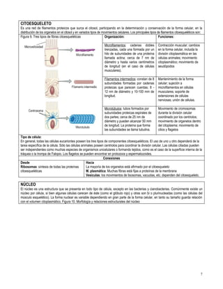 Primero medio biología