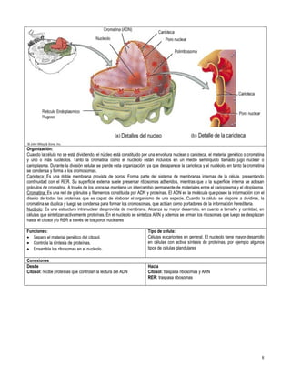 Primero medio biología