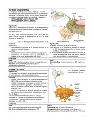 Primero medio biología