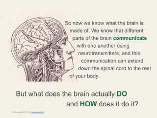 So now we know what the brain is
                                        made of. We know that different
                 ...