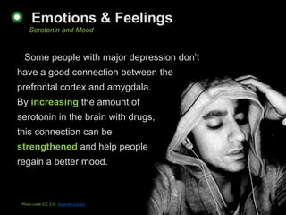 Emotions & Feelings
     Serotonin and Mood


  Some people with major depression don‟t
have a good connection between the...