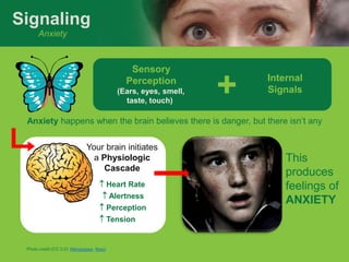 Signaling
      Anxiety



                                               Sensory
                                        ...