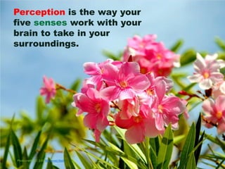 Perception is the way your
five senses work with your
brain to take in your
surroundings.




Photo credit (CC 2.0): Moham...