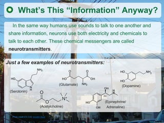 What’s This “Information” Anyway?
  In the same way humans use sounds to talk to one another and
 share information, neuro...