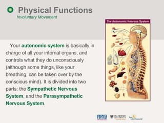 Physical Functions
    Involuntary Movement




  Your autonomic system is basically in
charge of all your internal organs...