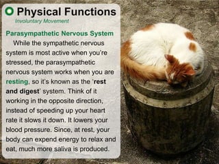 Physical Functions
   Involuntary Movement

Parasympathetic Nervous System
   While the sympathetic nervous
system is most...