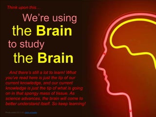 Think upon this…

                   We‟re using
       the Brain
   to study
         the Brain
  And there’s still a lot...