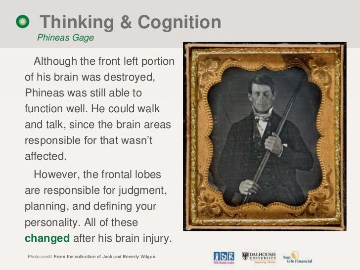 Primer on the brain revised