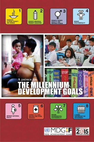 A Primer on the Millennium Development Goals 