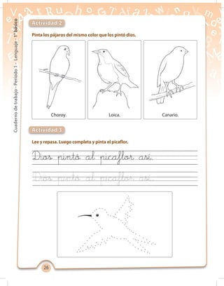 2626
Cuadernodetrabajo-Período1-Lenguaje-1°básico
Pinta los pájaros del mismo color que los pintó dios.
Lee y repasa. Luego completa y pinta el picaflor.
Actividad 2
Actividad 3
Choroy. Loica. Canario.
Dios pintó al picaflor así
Dios pintó al picaflor así.
 
