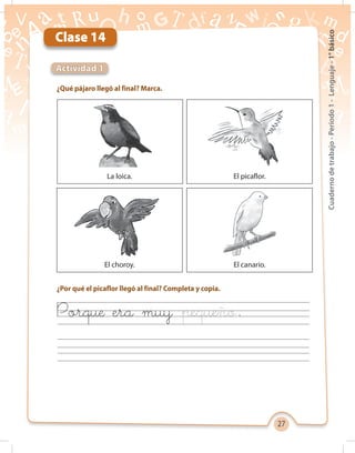 27
Cuadernodetrabajo-Período1-Lenguaje-1°básico
Clase 14
¿Qué pájaro llegó al final? Marca.
¿Por qué el picaflor llegó al final? Completa y copia.
Actividad 1
La loica.
El choroy.
El picaflor.
El canario.
Porque era muy .
 