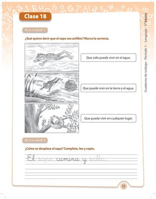 35
Cuadernodetrabajo-Período1-Lenguaje-1°básico
Clase 18
¿Qué quiere decir que el sapo sea anfibio? Marca la correcta.
¿Cómo se desplaza el sapo? Completa, lee y copia.
Actividad 1
Actividad 2
Que solo puede vivir en el agua.
Que puede vivir en la tierra y el agua.
Que puede vivir en cualquier lugar.
El .camina y
 