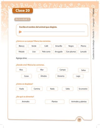 39
Cuadernodetrabajo-Período1-Lenguaje-1°básico
Clase 20
Escribe el nombre del animal que elegiste.
Agrega otras:
Actividad 1
¿Cómo es su cuerpo? Marca las correctas.
¿Cómo se desplaza?
¿De qué se alimenta?
¿Donde vive? Marca las correctas.
Blanco
Animales
Ríos
Peludo
Verde
Camina
Plantas
Mar
Liso
Café
Nada
Animales y plantas
Campo
Pelo corto
Amarillo
Salta
Selva
Arrugado
Negro
Se arrastra
Con plumas
Plomo
Vuela
Casas Árboles Desierto Lago
Lanudo
 
