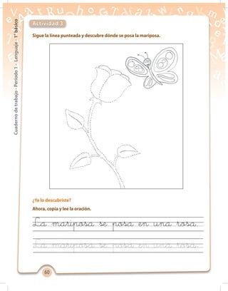 6060
Cuadernodetrabajo-Período1-Lenguaje-1°básico
Sigue la línea punteada y descubre dónde se posa la mariposa.
¿Ya lo descubriste?
Ahora, copia y lee la oración.
Actividad 3
La mariposa se posa en una rosa
La mariposa se posa en una rosa.
 