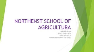 NORTHENST SCHOOL OF
AGRICULTURA
PRACTICA ENGLISHI
INGENER: OSCAR GARCIA
GROUP: PRACTICE #3
MEMBER: PRIMERO PRIMER RUDY LEONEL
 