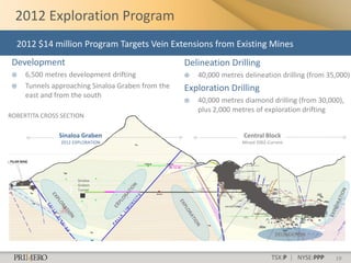 2012 Exploration Program
  2012 $14 million Program Targets Vein Extensions from Existing Mines
 Development                                       Delineation Drilling
    6,500 metres development drifting                40,000 metres delineation drilling (from 35,000)
    Tunnels approaching Sinaloa Graben from the   Exploration Drilling
     east and from the south
                                                      40,000 metres diamond drilling (from 30,000),
                                                       plus 2,000 metres of exploration drifting
ROBERTITA CROSS SECTION

               Sinaloa Graben                                        Central Block
                2012 EXPLORATION                                     Mined 2002-Current




                      Sinaloa
                      Graben
                      Tunnel




                                                                                   DELINEATION



                                                                                  TSX:P | NYSE:PPP   19
 