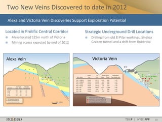 Two New Veins Discovered to date in 2012
 Alexa and Victoria Vein Discoveries Support Exploration Potential

Located in Prolific Central Corridor        Strategic Underground Drill Locations
   Alexa located 125m north of Victoria       Drilling from old El Pilar workings, Sinaloa
   Mining access expected by end of 2012       Graben tunnel and a drift from Robertita




                                                                        TSX:P | NYSE:PPP       20
 