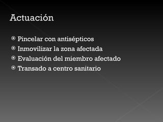 Pincelar con antisépticos Inmovilizar la zona afectada Evaluación del miembro afectado Transado a centro sanitario 